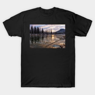 Fighting the Deep Freeze T-Shirt